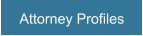 Attorney Profiles